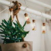 CANDY CANES STRING LIGHTS
